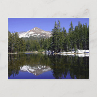 Yosemite Postcard