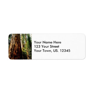 Yosemite Redwoods Label