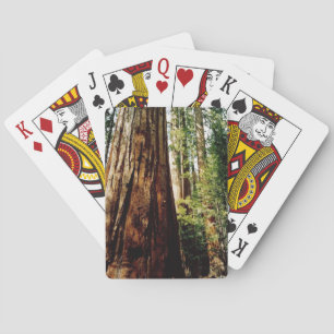 Yosemite Redwoods Poker Cards