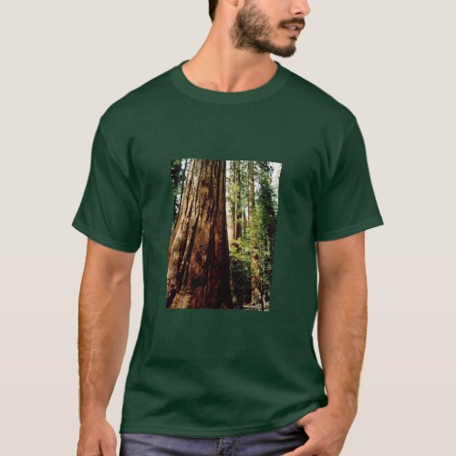 Yosemite Redwoods T_Shirt