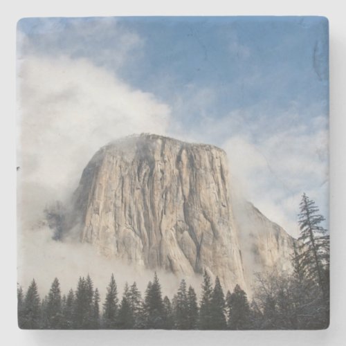 Yosemite Stone Coaster