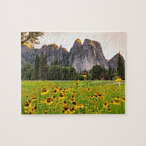 Yosemite Valley Wildflowers Puzzle