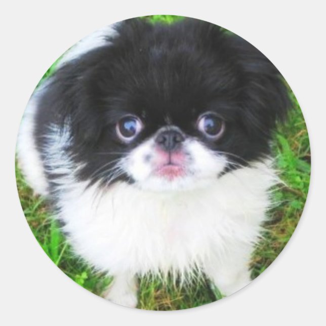 Yoshi Puppy Sticker (Front)