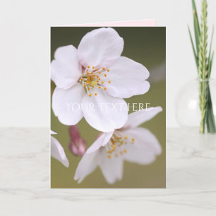 Yoshino Cherry Card