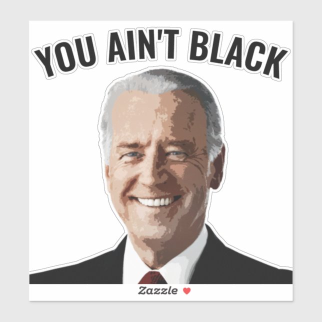 YOU AIN'T BLACK JOE BIDEN DIE CUT DECAL STICKERS (Sheet)