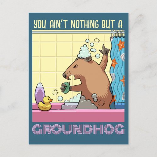You Aint Nothing But A Groundhog Singing Marmot Postcard
