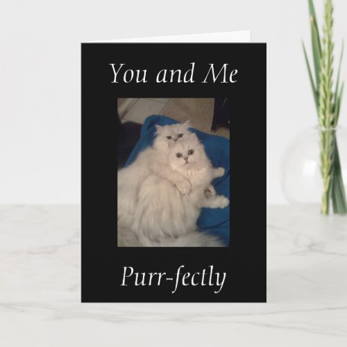 YOU AND ME PURR_FECTLY ANNIVERSARY CARD