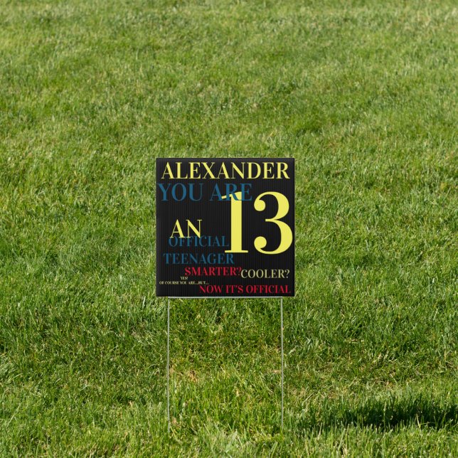 You Are 13 Official Teenager for Boys Birthday Sign (Insitu)