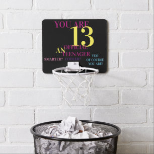 YOU ARE 13...OFFICIAL TEENAGER MINI BASKETBALL HOOP