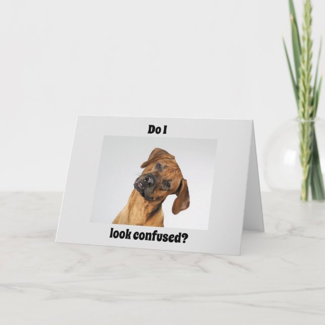 YOU are "16" SAYS AN IMPORTANT BIRTHDAY! Card (Front)