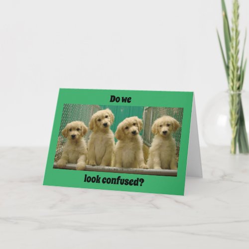 YOU are 16 SAYS CONFUSED PUPPIES Card