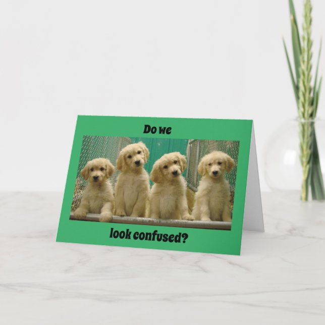 YOU are "16" SAYS CONFUSED PUPPIES? Card (Front)