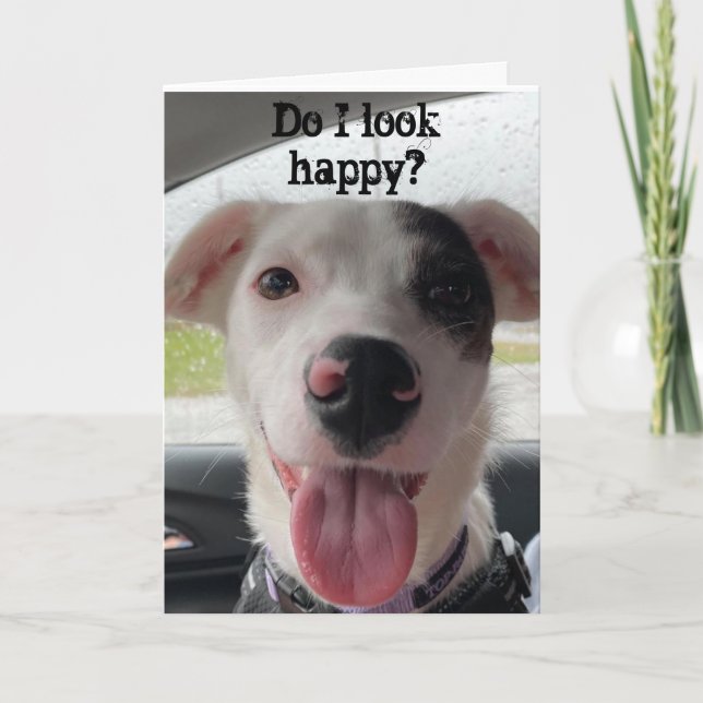 YOU ARE **70** MAKES ME HAPPY OF COURSE CARD (Front)