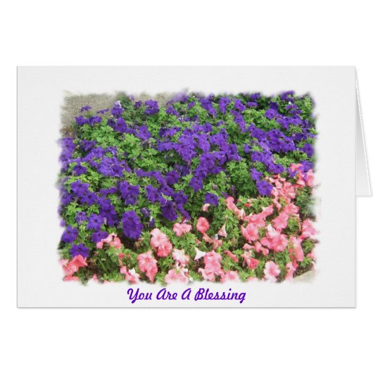 You Are A Blessing Cards (Front Horizontal)