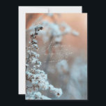 You are a magnet for miracles invitation<br><div class="desc">You are a magnet for miracles</div>