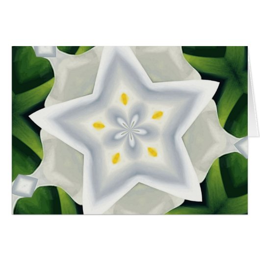 You Are A Star Cards (Front Horizontal)