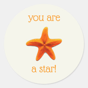You are a star classic round sticker