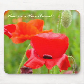 You are a True Friend! mousepad Red Poppy Flowers