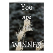 You are a  WINNER (Front)