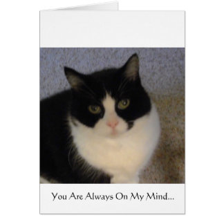 You Are Always On My Mind Cards