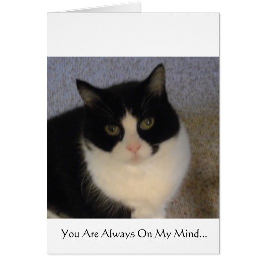 You Are Always On My Mind Cards (Front)