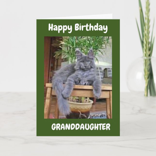 YOU ARE AMAZING **GRANDDAUGHTER** BIRTHDAY CARD (Front)