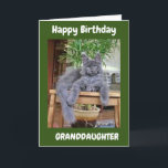 YOU ARE AMAZING **GRANDDAUGHTER** BIRTHDAY CARD<br><div class="desc">THANK YOU SO MUCH FOR STOPPING BY ONE OF MY EIGHT STORES!!!</div>