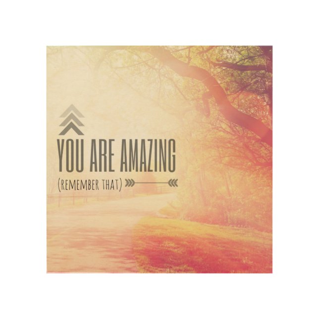 You Are Amazing Wood Wall Art (Front)