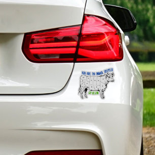 You are an animal abuser, Vegan Activism   Sticker