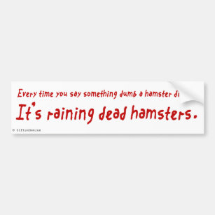 You are an Idiot (Dead Hamster) Bumper Sticker