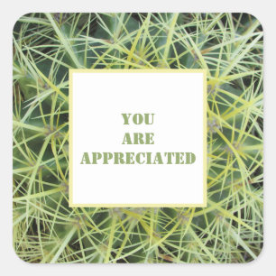 You Are Appreciated Desert Cactus Photo Thank You Square Sticker