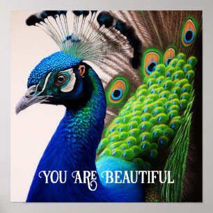 You Are Beautiful Peacock Inspirational Quote Poster