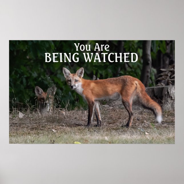 You Are Being Watched Poster (Front)