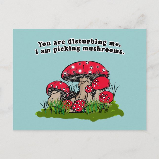 You Are Disturbing Me. I Am Picking Mushrooms Tee Postcard (Front)