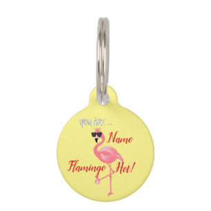 You Are Flamingo Hot Thunder_Cove Pet ID Tag