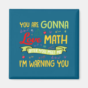 You Are Gonna Love Math After You Meet Me I'm Warn Magnet