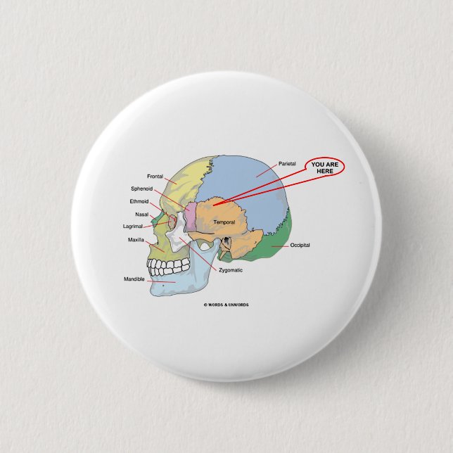 You Are Here (Brain Temporal Region Anatomical) Button (Front)