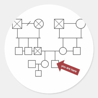 You Are Here Genogram Classic Round Sticker