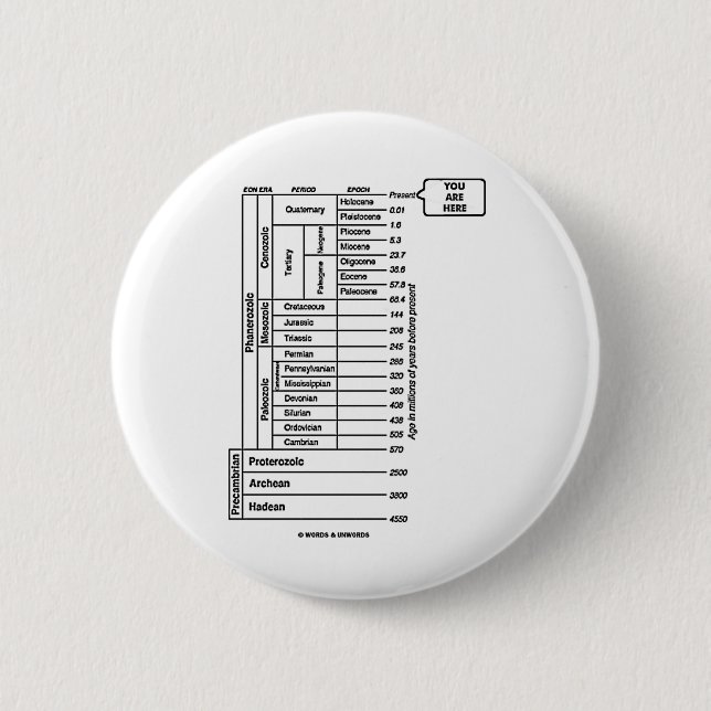You Are Here (Geological Age Earth's History) Pinback Button (Front)