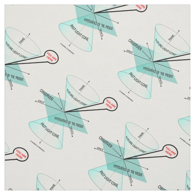 You Are Here Light Cone Space Time Physics Fabric (Swatch)