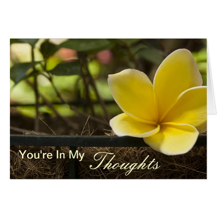 You Are In My Thoughts Cards