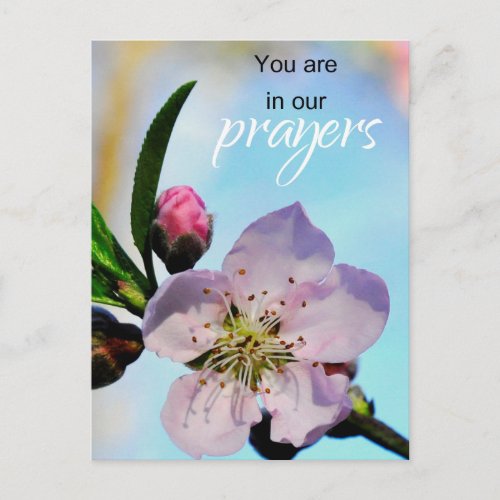 You are in Our Prayers Church Congregation Postcard