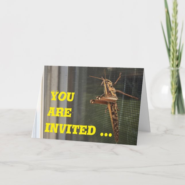 You are invited to come hang out, card (Front)