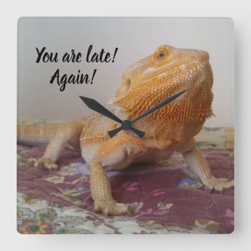 You are late Funny Bearded Dragon Print Square Wall Clock