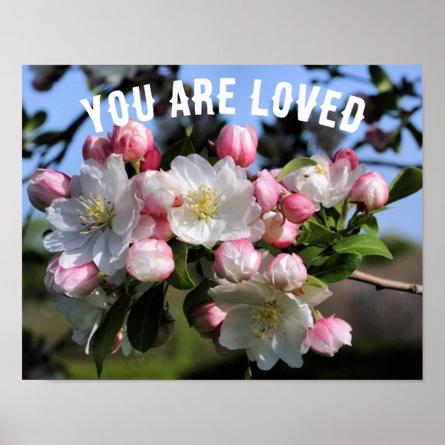 You Are Loved Blossoms Inspirational Poster (Front)