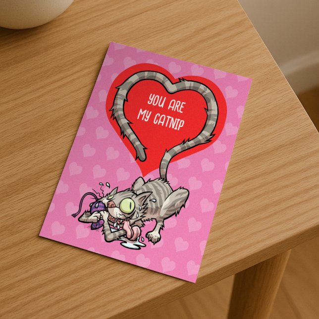You Are My Catnip Alternative Funny Valentine Cat Holiday Postcard (Creator Uploaded)