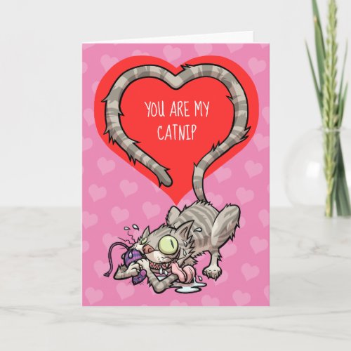 You Are My Catnip Funny Valentine Cat Cartoon Card