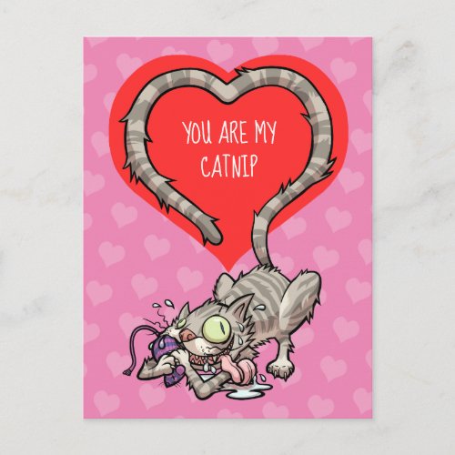You Are My Catnip Funny Valentine Cat Cartoon Holiday Postcard
