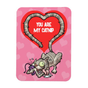 You Are My Catnip Funny Valentine's Cat Cartoon Magnet