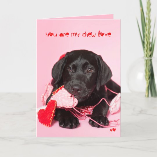 You are my Chew Love Black Lab Valentine Holiday Card | Zazzle.com